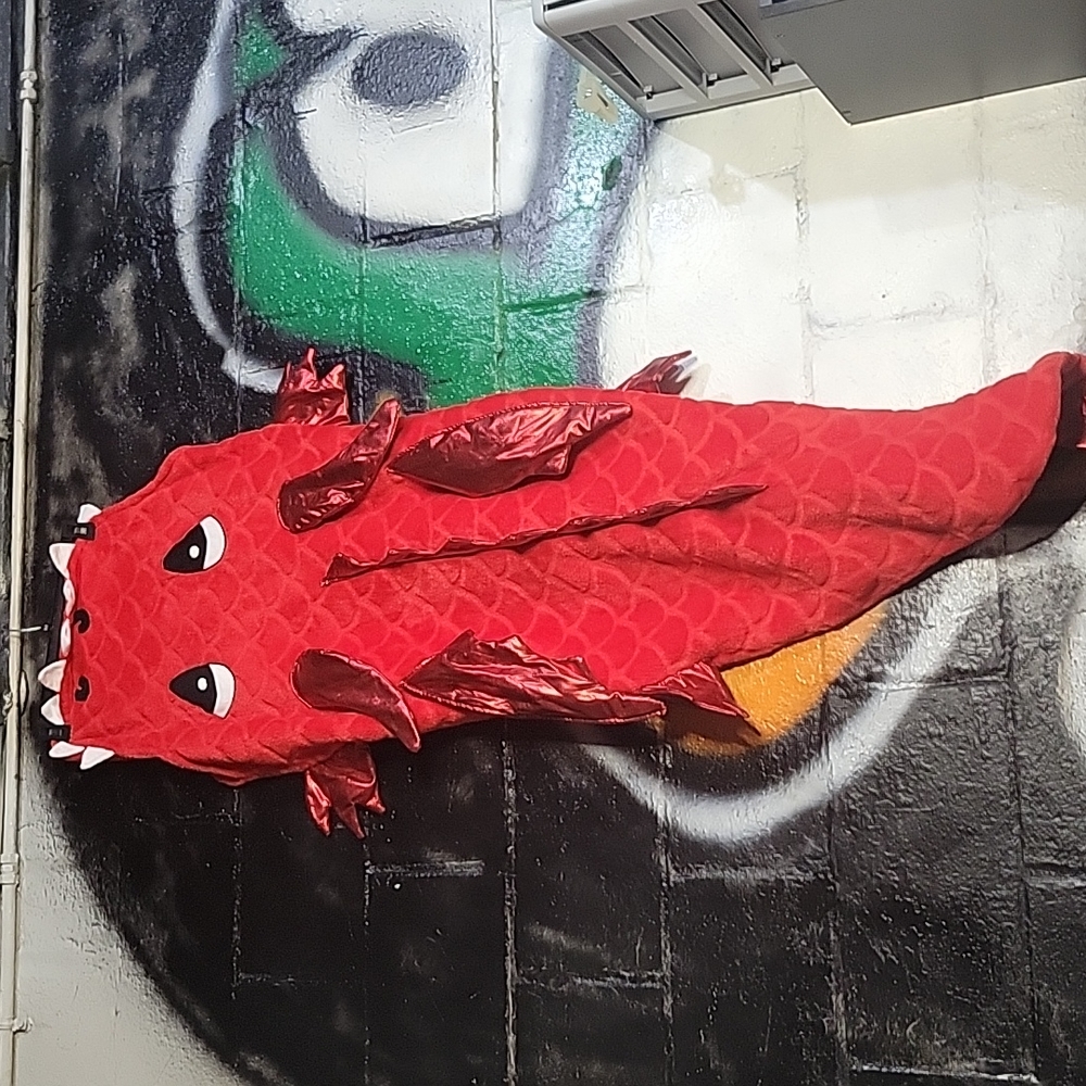 Red dragon blanket